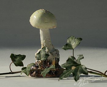 Amanite citrine,décor champignon