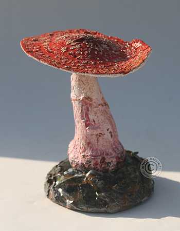 Amanite rougissante .