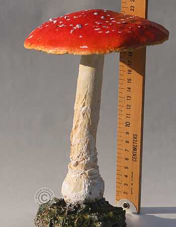 Amanite tue mouches,