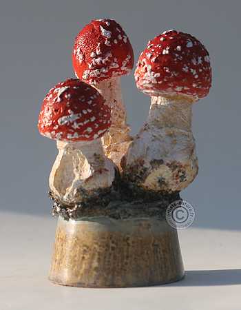 Amanite tue mouches, Amanite tue mouches,
