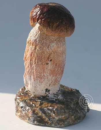 Bolet.