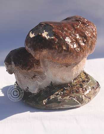 Bolet d'été.