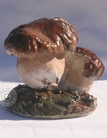 Bolet d'été. Bolet.