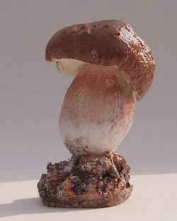 Décor Bolet, cep de Bordeaux,décor champignon Décor Bolet, cep de Bordeaux,décor champignon