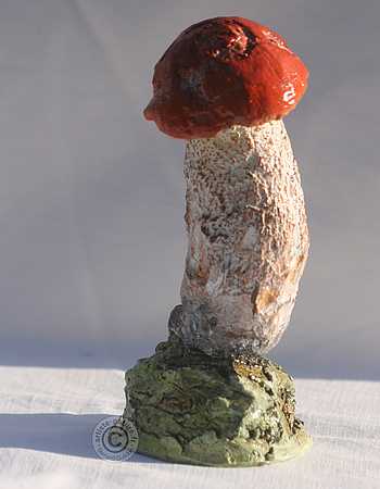 Bolet orangé.