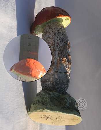 Bolet orangé.