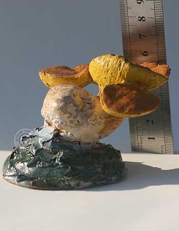 Bolet parasite.