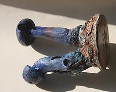 Figurine de Cortinarius violaceus