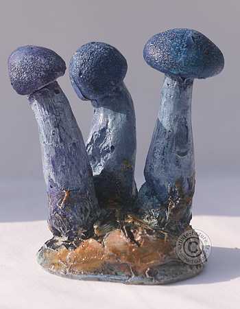 Figurine de Cortinarius violaceus