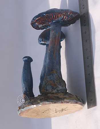 Figurine de Cortinarius violaceus