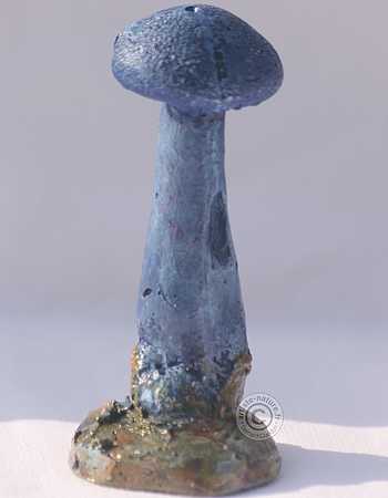 Figurine de Cortinarius violaceus