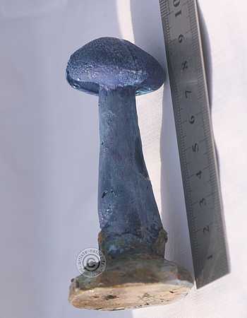 Figurine de Cortinarius violaceus