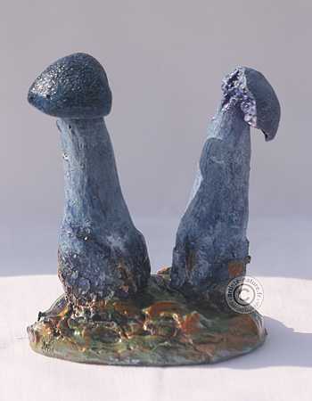 Figurine de Cortinarius violaceus