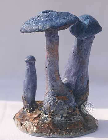 Figurine de Cortinarius violaceus