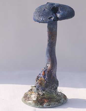 Figurine de Cortinarius violaceus