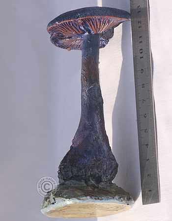 Figurine de Cortinarius violaceus