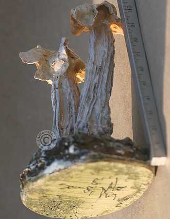 Helvelle crépue.
