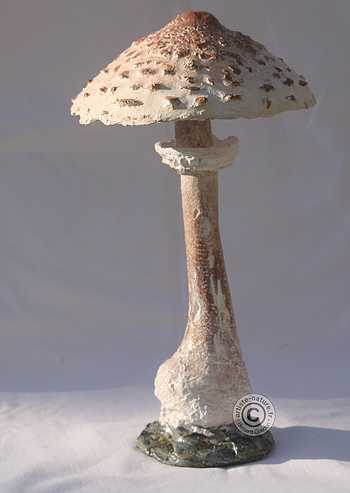 Lepiote élevée, statuette champignon coulemelle