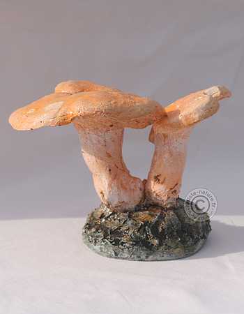 Pied de mouton.