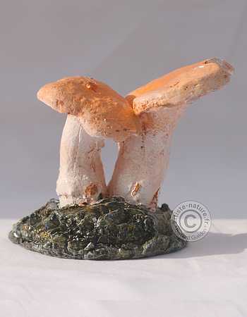 Pied de mouton. Pied de mouton.