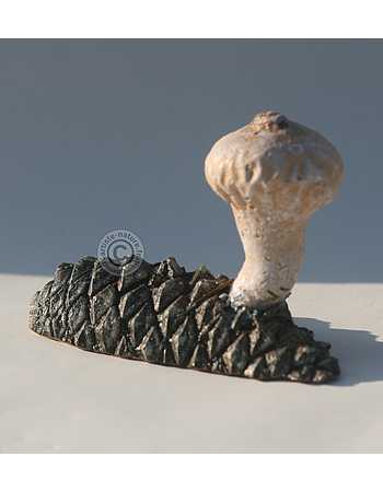 Vesse de loup en poire.