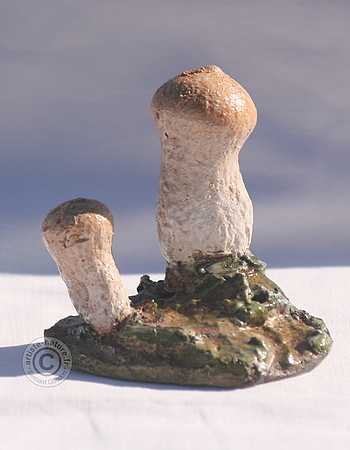 Vesse de loup perlée.
