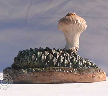 Vesse de loup en poire.