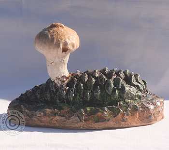 Vesse de loup en poire. Vesse de loup en poire.