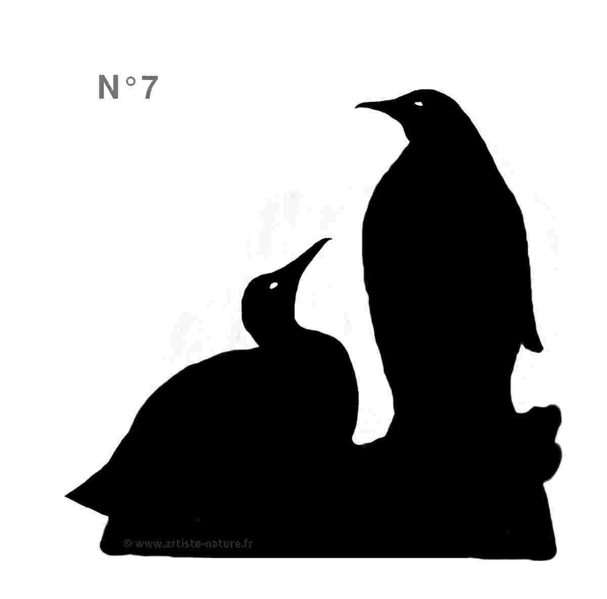 Silhouette Pingouin Manchots Empereur N°7