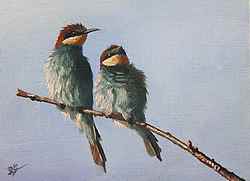 Peinture acrylique animalière, oiseau, Guêpiers sur une branche.