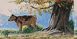 Peinture acrylique animalière, vache sous un châtaignier.